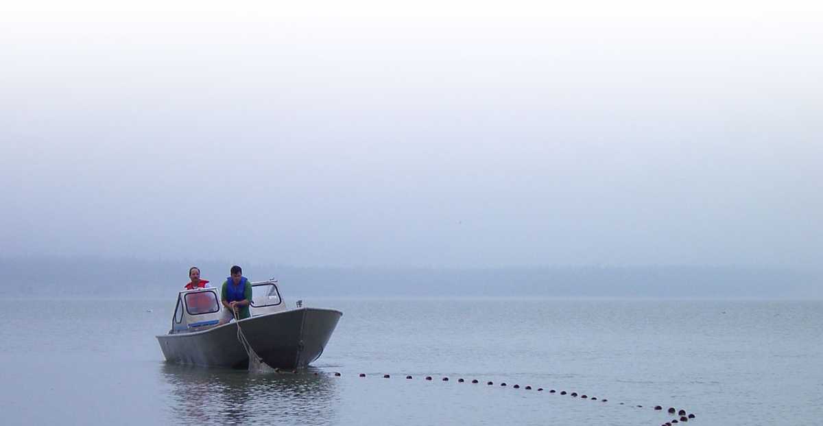Two people in a boat on a foggy lake pulling out fishing net