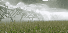 Irrigation à pivot central sur les terres agricoles